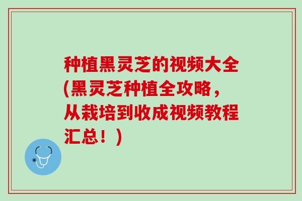 种植黑灵芝的视频大全(黑灵芝种植全攻略，从栽培到收成视频教程汇总！)