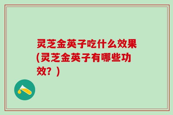 灵芝金英子吃什么效果(灵芝金英子有哪些功效？)
