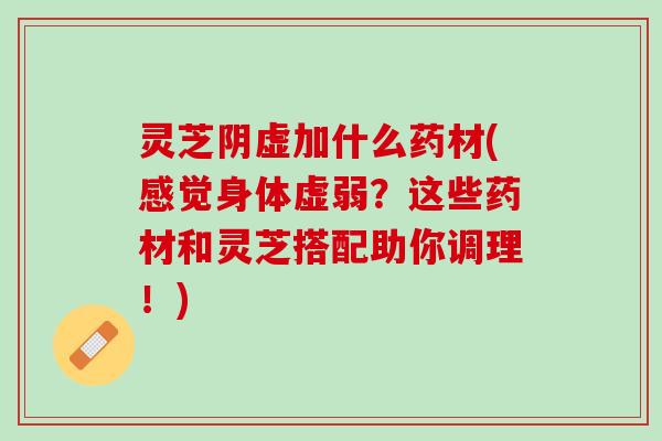 灵芝阴虚加什么药材(感觉身体虚弱？这些药材和灵芝搭配助你调理！)