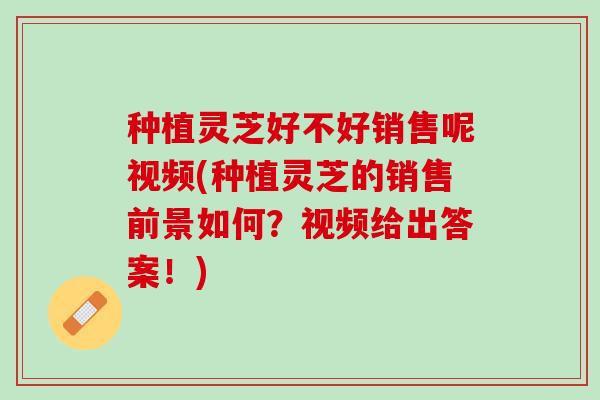 种植灵芝好不好销售呢视频(种植灵芝的销售前景如何?视频给出答案!) 种植灵芝好不好销售呢视频(种植灵芝的销售前景如何?视频给出答案!)