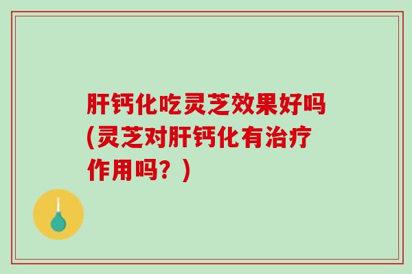 钙化吃灵芝效果好吗(灵芝对钙化有作用吗?) 钙化吃灵芝效果好吗(灵芝对钙化有作用吗?)