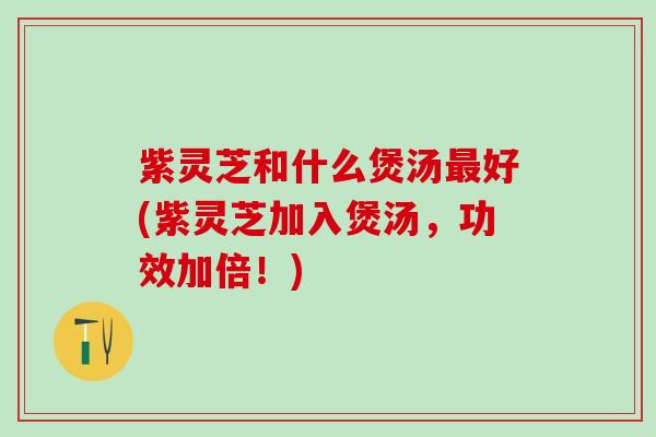 紫灵芝和什么煲汤好(紫灵芝加入煲汤,功效加倍!) 紫灵芝和什么煲汤好(紫灵芝加入煲汤,功效加倍!)