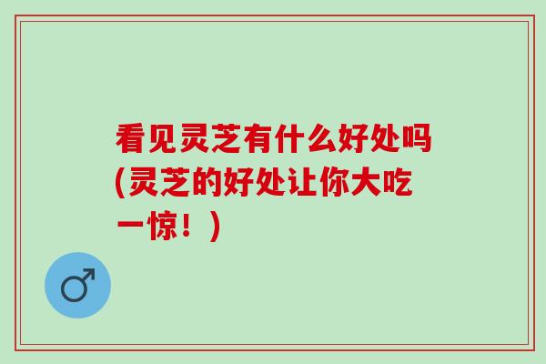 看见灵芝有什么好处吗(灵芝的好处让你大吃一惊！)