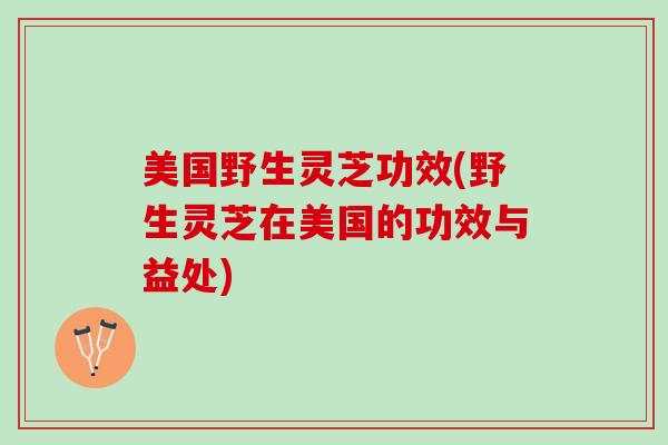 美国野生灵芝功效(野生灵芝在美国的功效与益处) 美国野生灵芝功效(野生灵芝在美国的功效与益处)