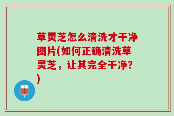 草灵芝怎么清洗才干净图片(如何正确清洗草灵芝,让其完全干净?) 草灵芝怎么清洗才干净图片(如何正确清洗草灵芝,让其完全干净?)