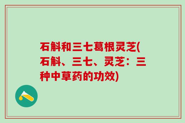 石斛和三七葛根灵芝(石斛、三七、灵芝：三种中草药的功效)