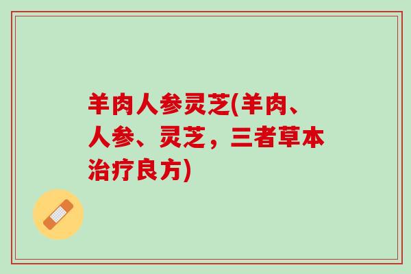 羊肉人参灵芝(羊肉、人参、灵芝,三者草本良方) 羊肉人参灵芝(羊肉、人参、灵芝,三者草本良方)