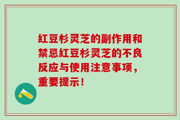 红豆杉灵芝的副作用和禁忌红豆杉灵芝的不良反应与使用注意事项，重要提示！