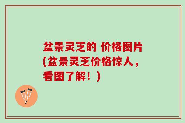 盆景灵芝的 价格图片(盆景灵芝价格惊人，看图了解！)
