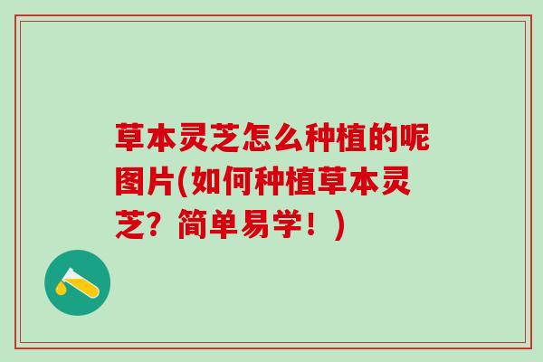 草本灵芝怎么种植的呢图片(如何种植草本灵芝？简单易学！)