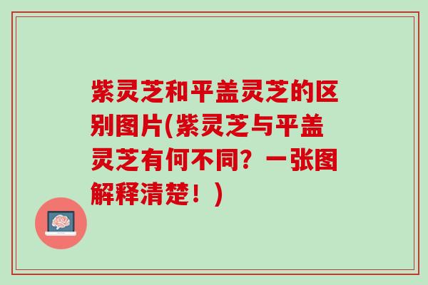 紫灵芝和平盖灵芝的区别图片(紫灵芝与平盖灵芝有何不同？一张图解释清楚！)