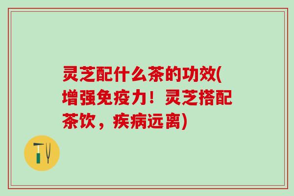 灵芝配什么茶的功效(增强免疫力！灵芝搭配茶饮，疾病远离)