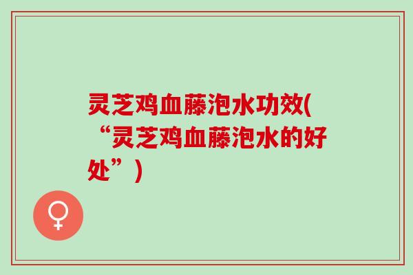 灵芝鸡血藤泡水功效(“灵芝鸡血藤泡水的好处”)