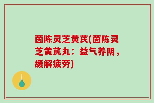 茵陈灵芝黄芪(茵陈灵芝黄芪丸：益气养阴，缓解疲劳)