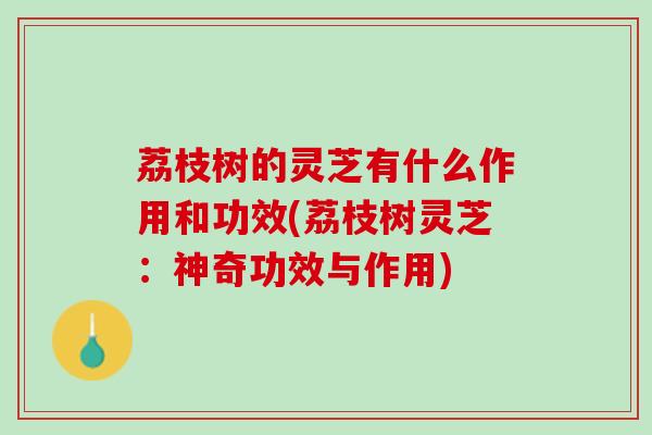 荔枝树的灵芝有什么作用和功效(荔枝树灵芝：神奇功效与作用)