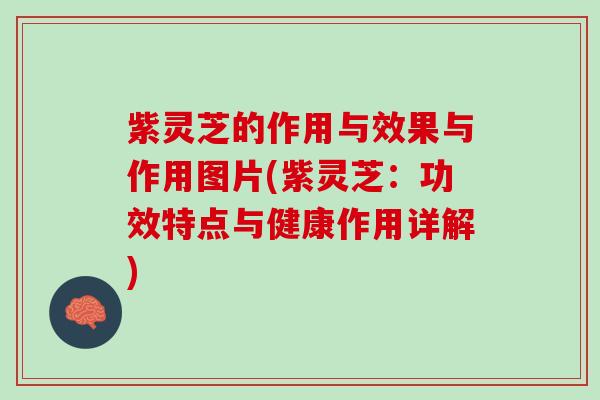 紫灵芝的作用与效果与作用图片(紫灵芝：功效特点与健康作用详解)