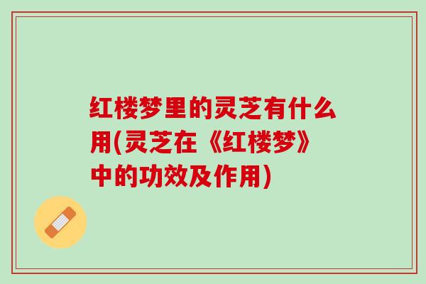 红楼梦里的灵芝有什么用(灵芝在《红楼梦》中的功效及作用) 红楼梦里的灵芝有什么用(灵芝在《红楼梦》中的功效及作用)