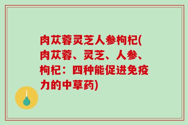肉苁蓉灵芝人参枸杞(肉苁蓉、灵芝、人参、枸杞:四种能促进免疫力的中草药) 肉苁蓉灵芝人参枸杞(肉苁蓉、灵芝、人参、枸杞:四种能促进免疫力的中草药)