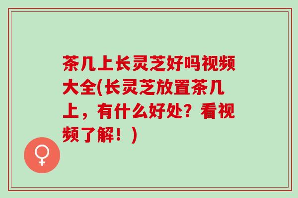 茶几上长灵芝好吗视频大全(长灵芝放置茶几上，有什么好处？看视频了解！)