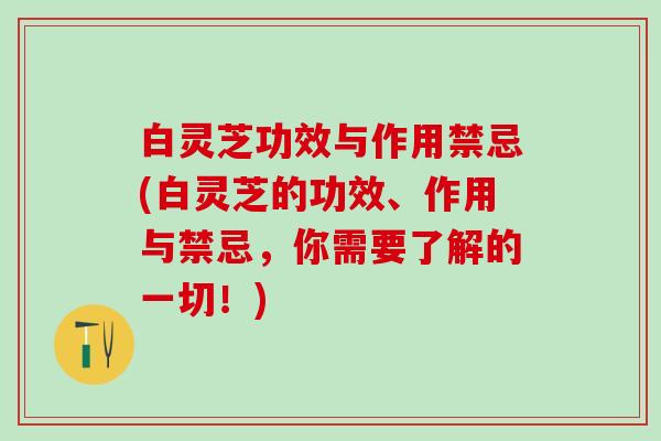 白灵芝功效与作用禁忌(白灵芝的功效、作用与禁忌，你需要了解的一切！)