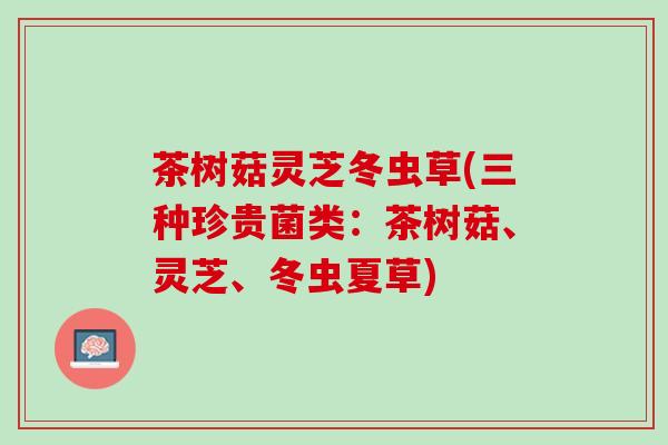 茶树菇灵芝冬虫草(三种珍贵菌类：茶树菇、灵芝、冬虫夏草)