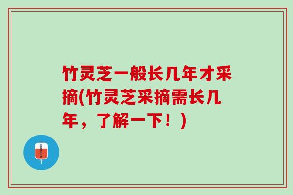 竹灵芝一般长几年才采摘(竹灵芝采摘需长几年，了解一下！)