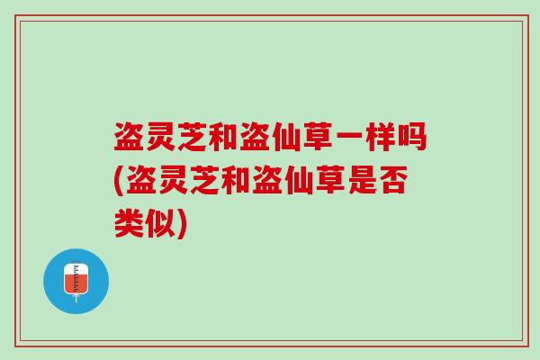 盗灵芝和盗仙草一样吗(盗灵芝和盗仙草是否类似) 盗灵芝和盗仙草一样吗(盗灵芝和盗仙草是否类似)