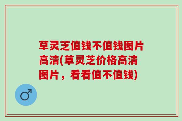 草灵芝值钱不值钱图片高清(草灵芝价格高清图片，看看值不值钱)