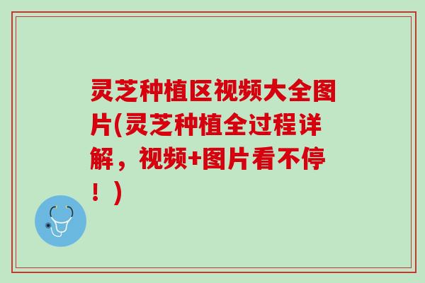 灵芝种植区视频大全图片(灵芝种植全过程详解，视频+图片看不停！)