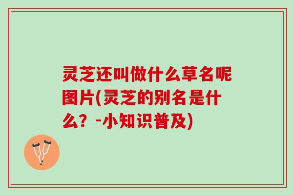 灵芝还叫做什么草名呢图片(灵芝的别名是什么？-小知识普及)