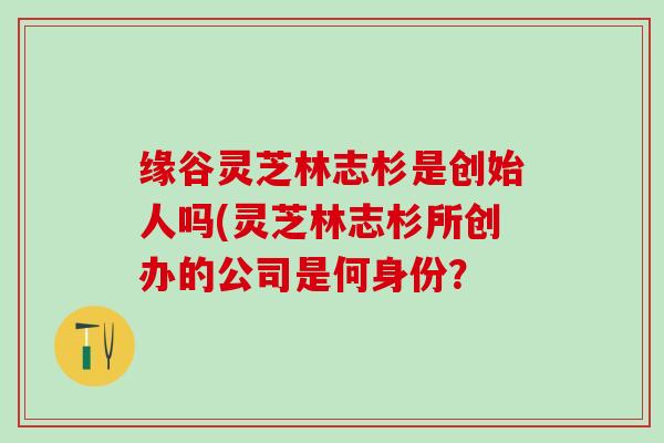 缘谷灵芝林志杉是创始人吗(灵芝林志杉所创办的公司是何身份？