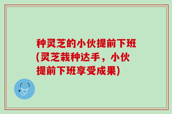 种灵芝的小伙提前下班(灵芝栽种达手，小伙提前下班享受成果)