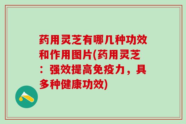 药用灵芝有哪几种功效和作用图片(药用灵芝:强效提高免疫力,具多种健康功效) 药用灵芝有哪几种功效和作用图片(药用灵芝:强效提高免疫力,具多种健康功效)