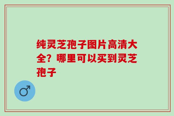 纯灵芝孢子图片高清大全？哪里可以买到灵芝孢子