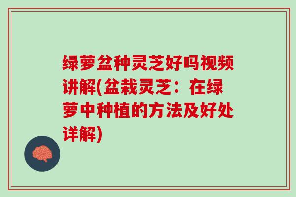 绿萝盆种灵芝好吗视频讲解(盆栽灵芝:在绿萝中种植的方法及好处详解) 绿萝盆种灵芝好吗视频讲解(盆栽灵芝:在绿萝中种植的方法及好处详解)