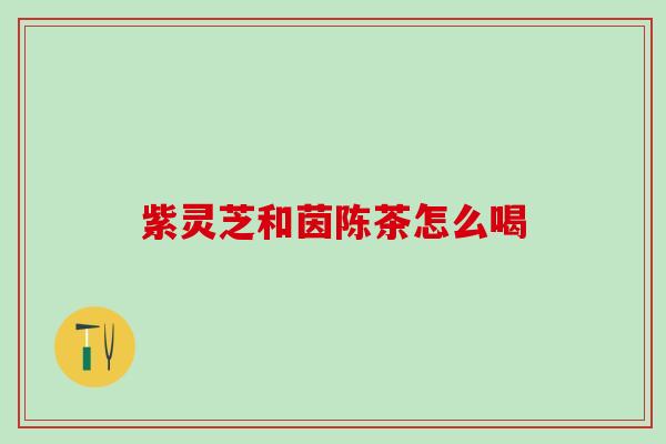 紫灵芝和茵陈茶怎么喝