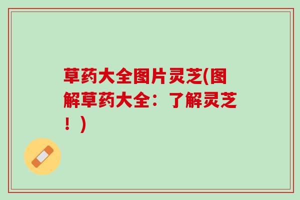 草药大全图片灵芝(图解草药大全：了解灵芝！)