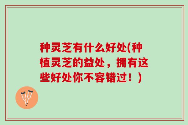 种灵芝有什么好处(种植灵芝的益处，拥有这些好处你不容错过！)