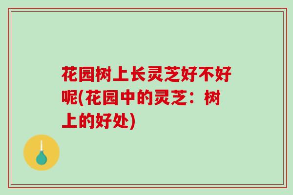 花园树上长灵芝好不好呢(花园中的灵芝：树上的好处)
