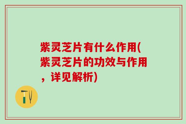 紫灵芝片有什么作用(紫灵芝片的功效与作用,详见解析) 紫灵芝片有什么作用(紫灵芝片的功效与作用,详见解析)