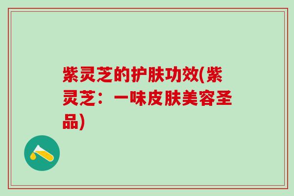 紫灵芝的护肤功效(紫灵芝：一味皮肤美容圣品)