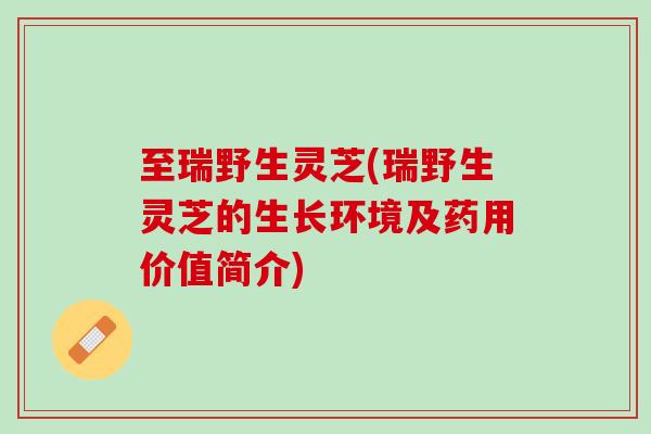 至瑞野生灵芝(瑞野生灵芝的生长环境及药用价值简介)