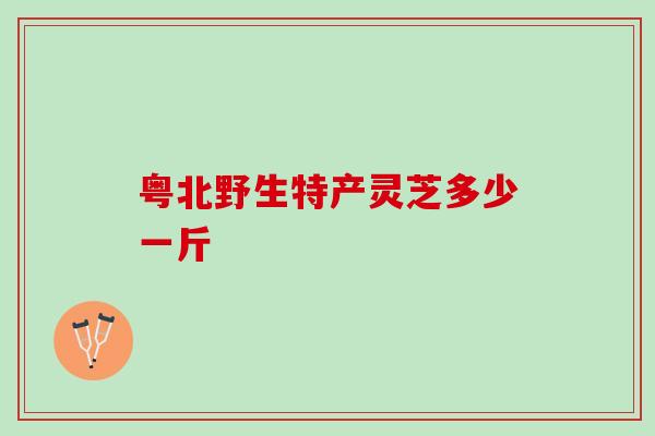 粤北野生特产灵芝多少一斤