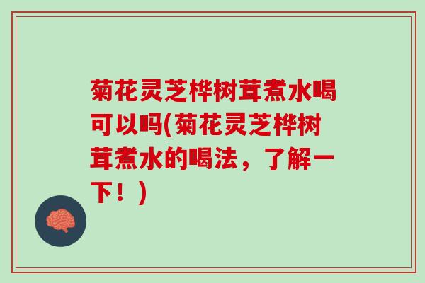 菊花灵芝桦树茸煮水喝可以吗(菊花灵芝桦树茸煮水的喝法,了解一下!) 菊花灵芝桦树茸煮水喝可以吗(菊花灵芝桦树茸煮水的喝法,了解一下!)