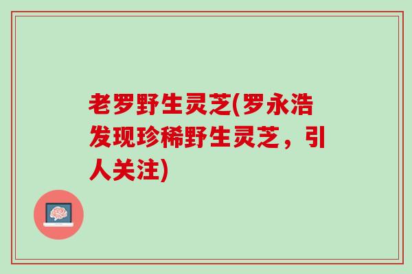 老罗野生灵芝(罗永浩发现珍稀野生灵芝，引人关注)