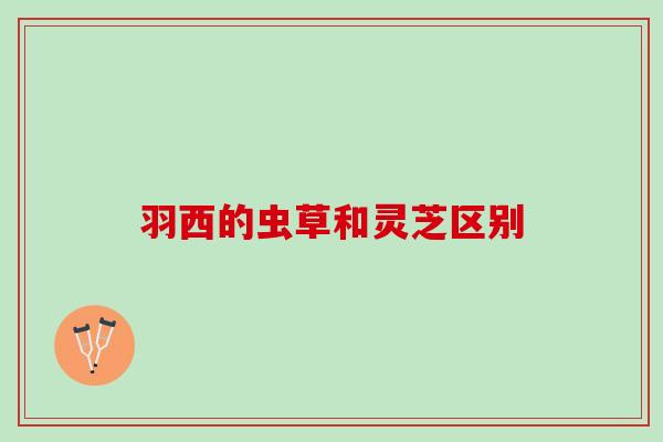 羽西的虫草和灵芝区别