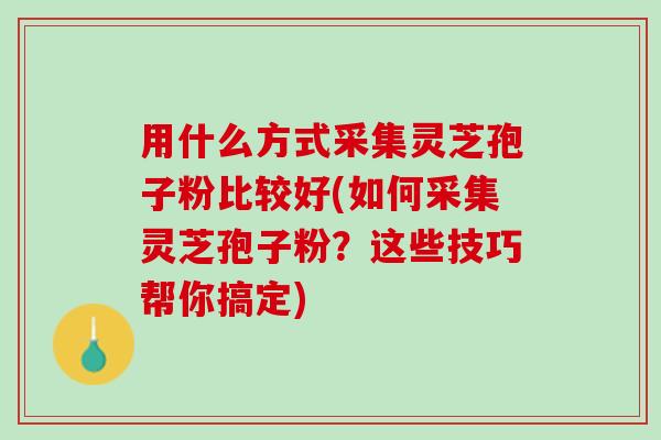 用什么方式采集灵芝孢子粉比较好(如何采集灵芝孢子粉？这些技巧帮你搞定)