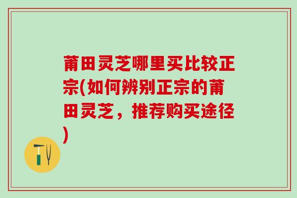 莆田灵芝哪里买比较正宗(如何辨别正宗的莆田灵芝，推荐购买途径)