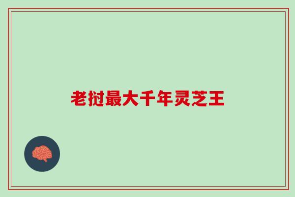 老挝大千年灵芝王