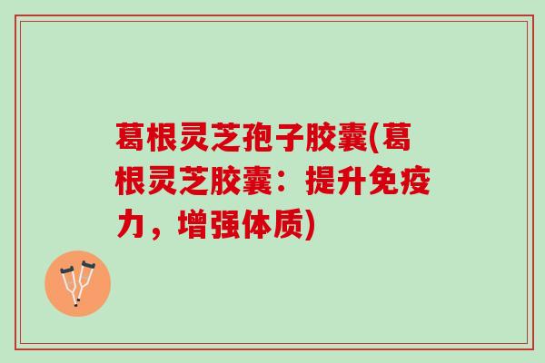 葛根灵芝孢子胶囊(葛根灵芝胶囊：提升免疫力，增强体质)